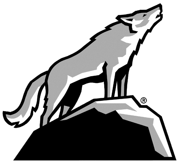 North Carolina State Wolfpack 2006-Pres Alternate Logo v10 diy fabric transfer